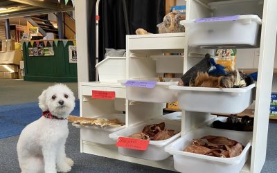 New stock from Jr Pet Products